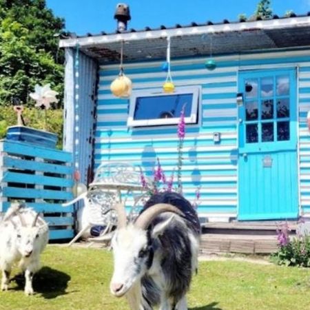 Treguth Glamping Unique Experience - Themed Huts Hotel Saint Day ภายนอก รูปภาพ