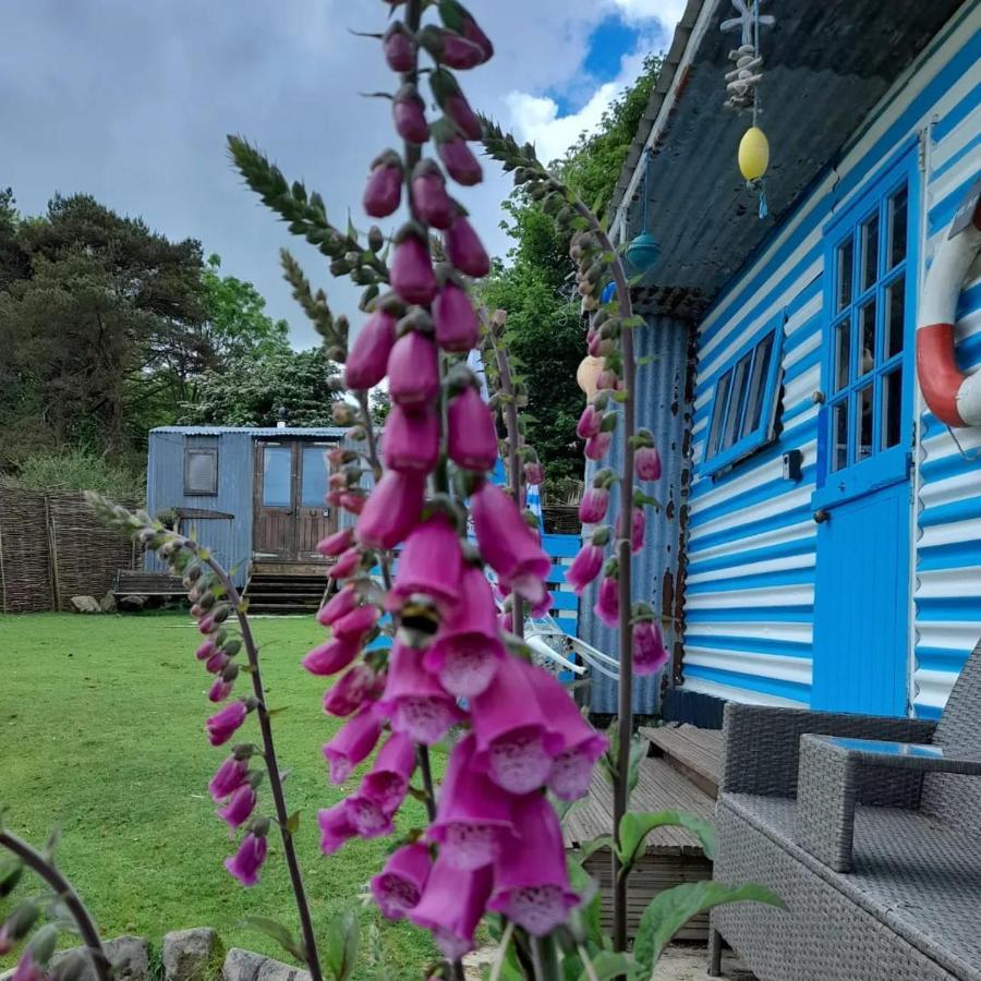 Treguth Glamping Unique Experience - Themed Huts Hotel Saint Day ภายนอก รูปภาพ