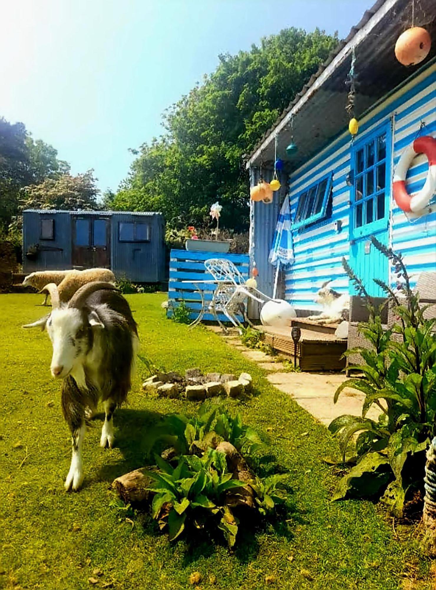 Treguth Glamping Unique Experience - Themed Huts Hotel Saint Day ภายนอก รูปภาพ