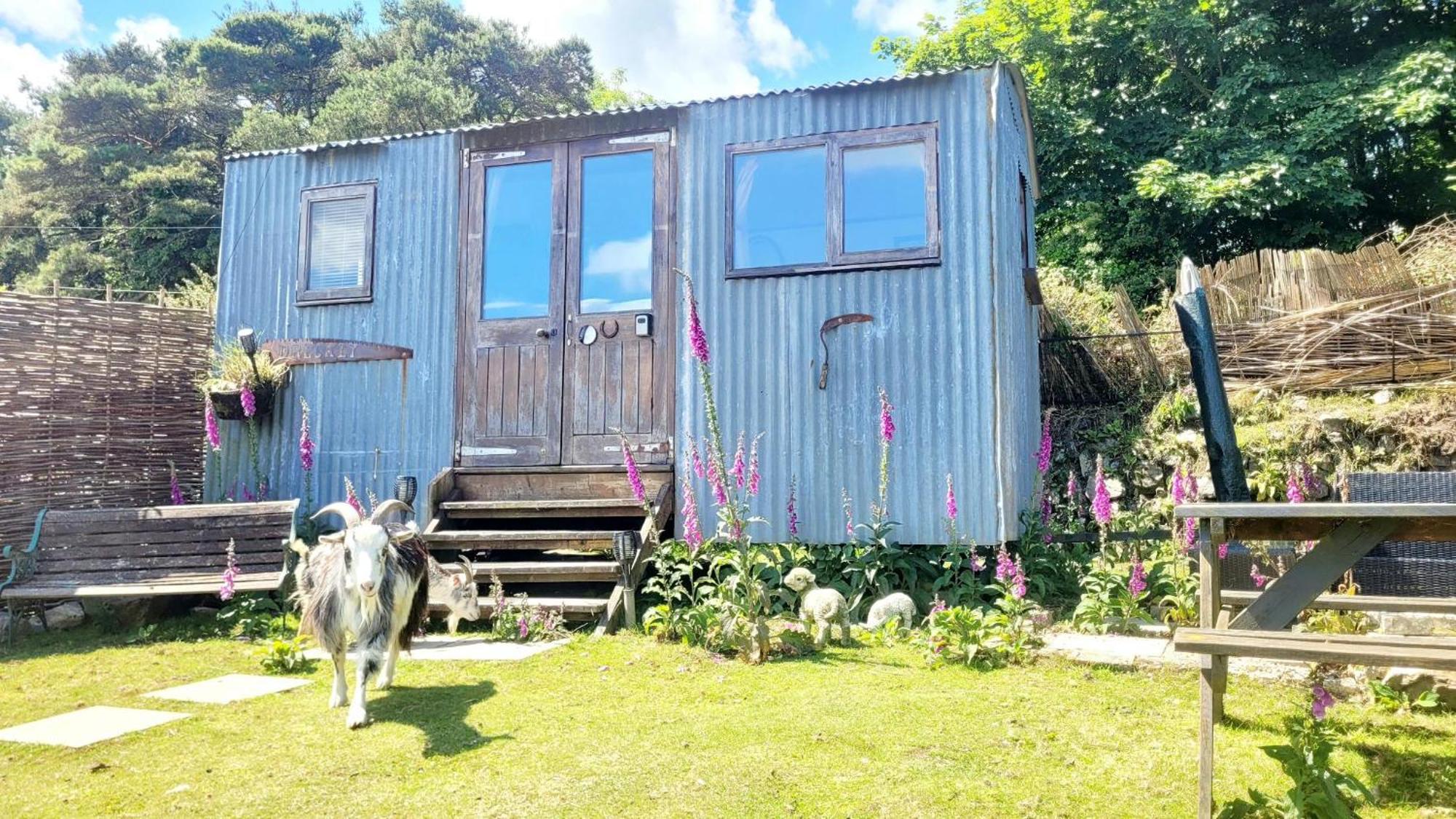 Treguth Glamping Unique Experience - Themed Huts Hotel Saint Day ภายนอก รูปภาพ