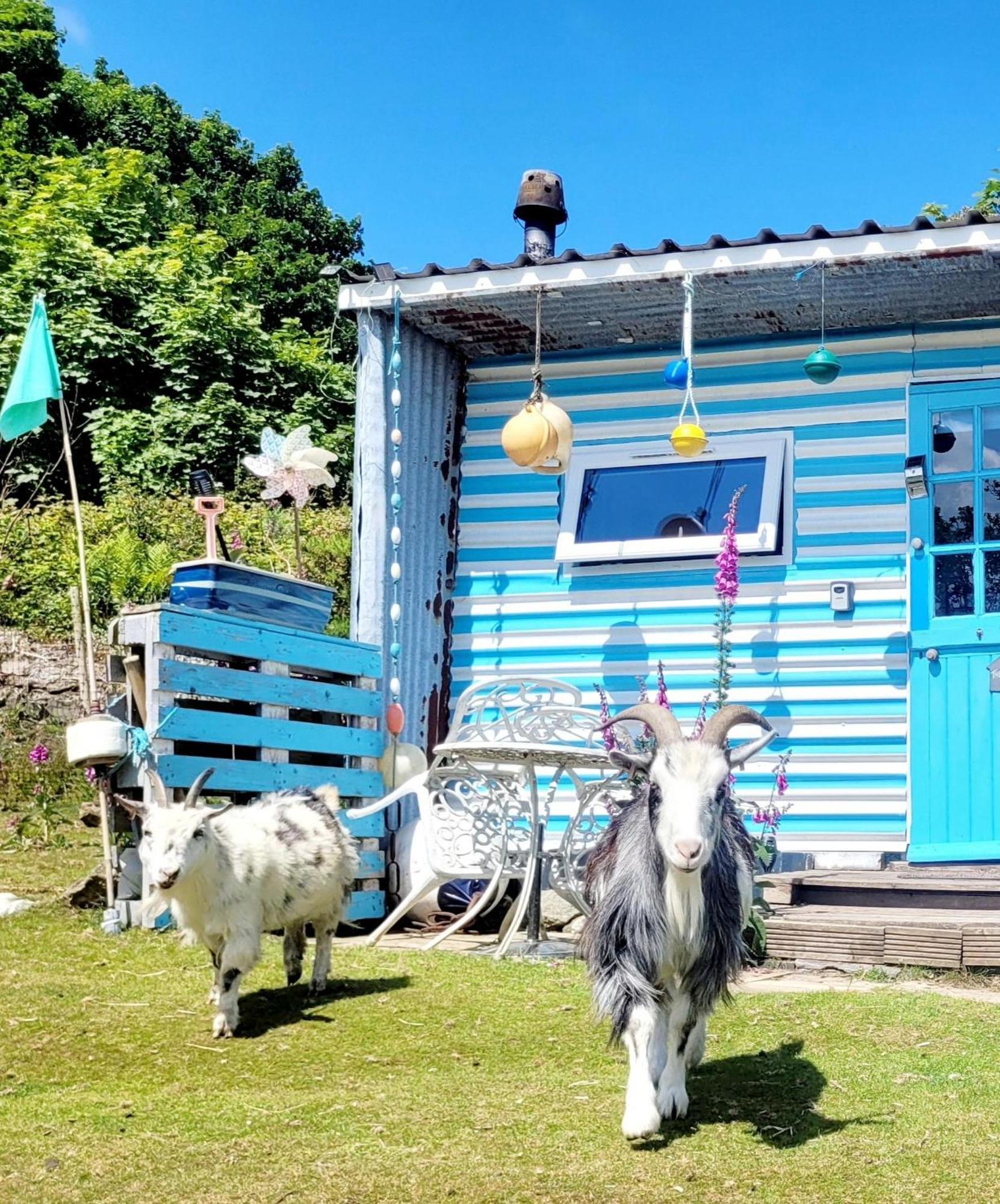 Treguth Glamping Unique Experience - Themed Huts Hotel Saint Day ภายนอก รูปภาพ