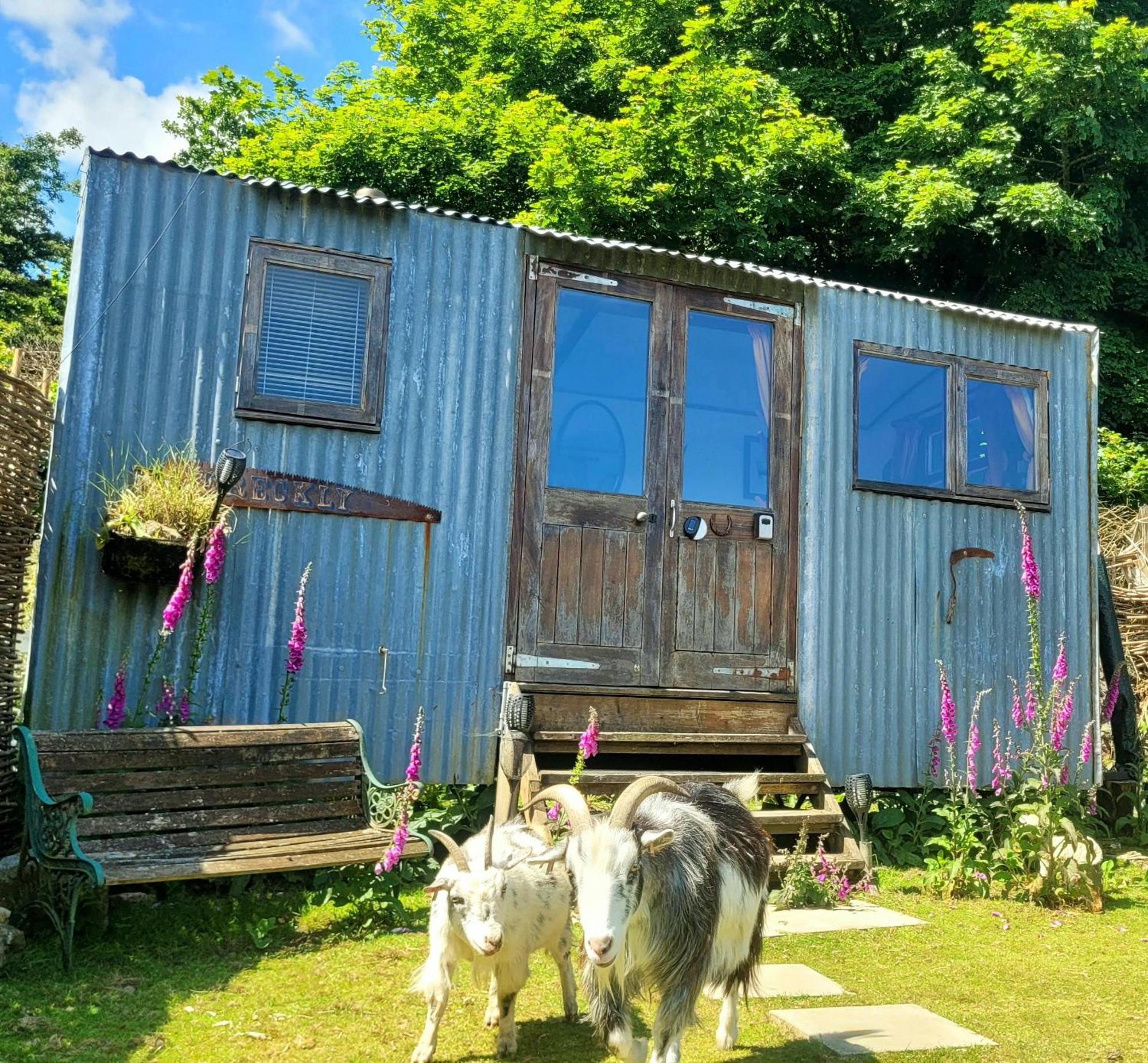 Treguth Glamping Unique Experience - Themed Huts Hotel Saint Day ภายนอก รูปภาพ