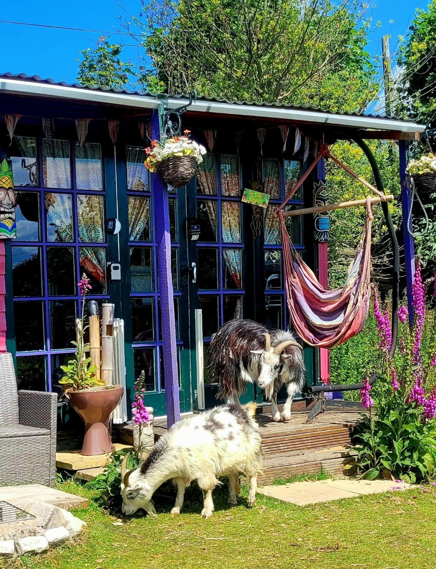 Treguth Glamping Unique Experience - Themed Huts Hotel Saint Day ภายนอก รูปภาพ