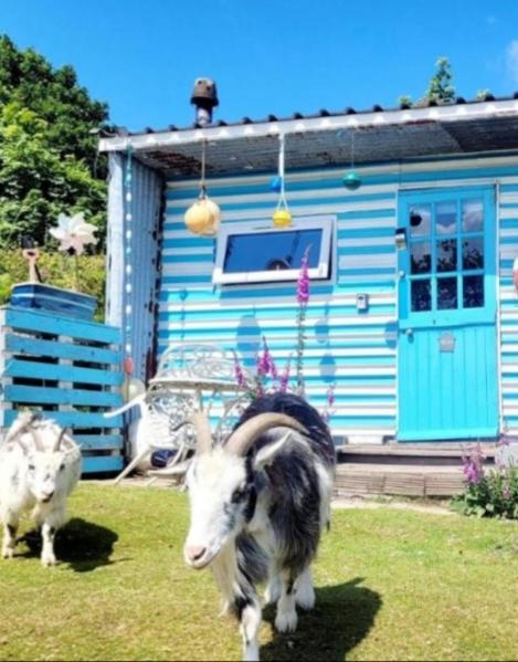 Treguth Glamping Unique Experience - Themed Huts Hotel Saint Day ภายนอก รูปภาพ